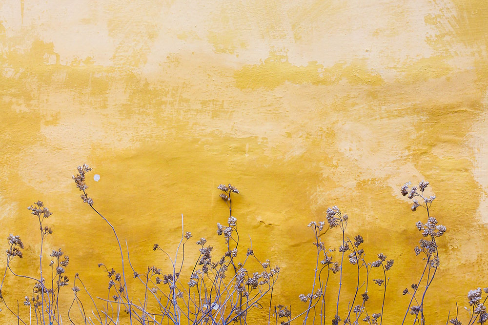 Aprenda a Evitar o Descascamento de Paredes