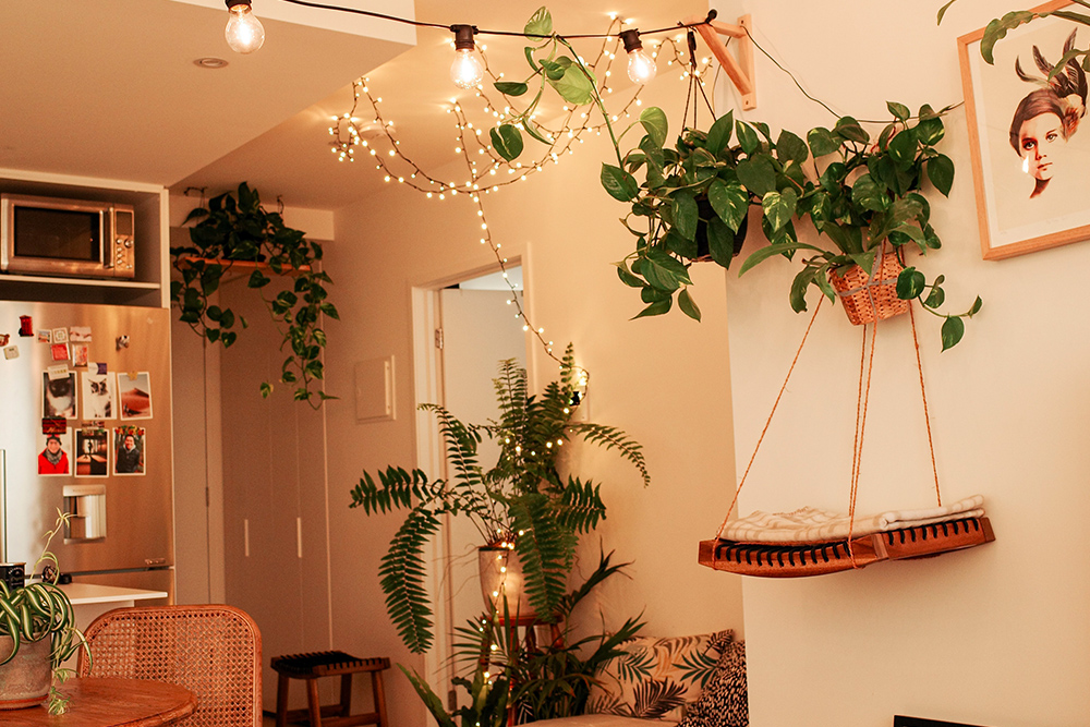 Como iluminar espaços com plantas e flores?