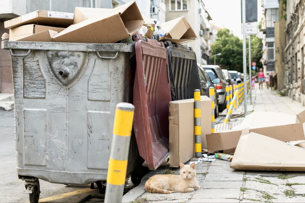Descarte Sustentável na Obra: Benefícios