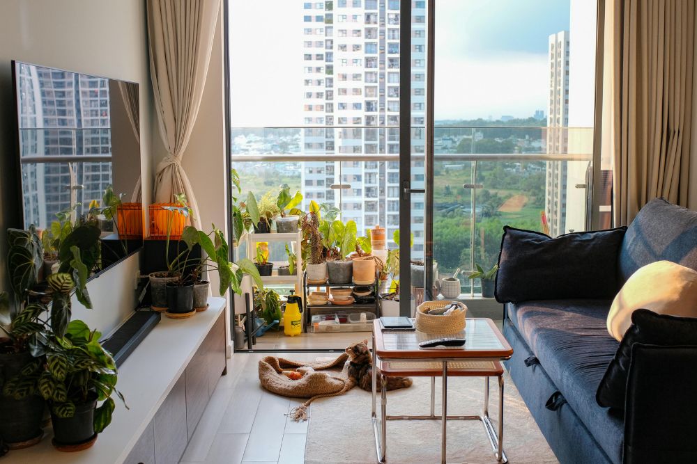 Jardinagem para pequenos espaços: Como criar um jardim onde quiser!