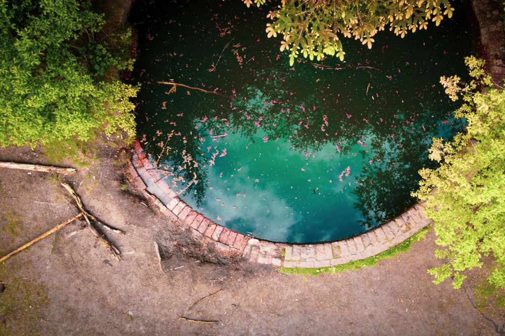Piscinas Naturais: Um Refúgio Aquático Integrado à Natureza
