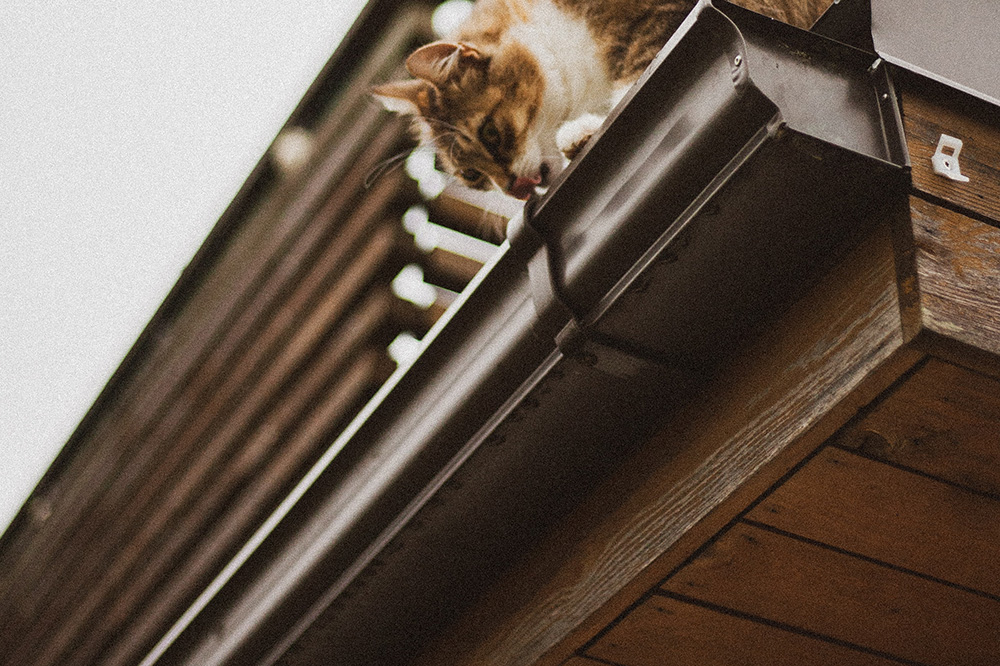 Tudo que você precisa saber sobre calhas e rufos