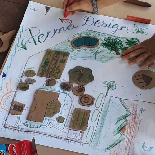 Apema Associação de Permacultores da Mata Atlântica  - Galeria