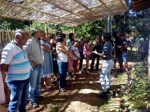 Coletivo Raiz & Cipó - Galeria