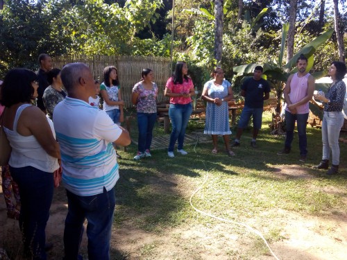 Coletivo Raiz & Cipó - Galeria