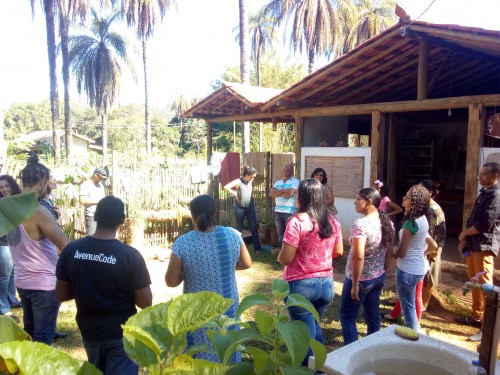 Coletivo Raiz & Cipó - Galeria