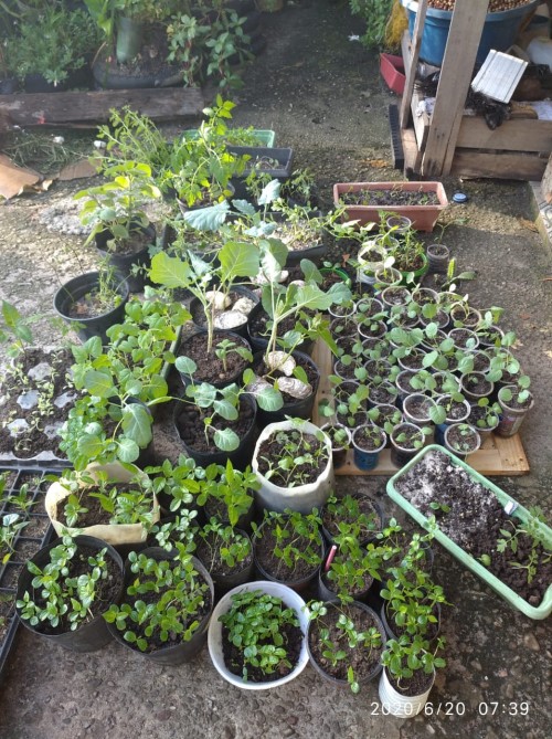 Cooperativa D'IRITUIA 