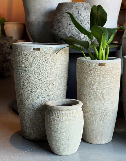 Flora Morumby  - Galeria