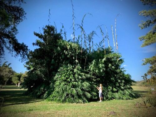 Instituto de Ecopedagogias  - Galeria
