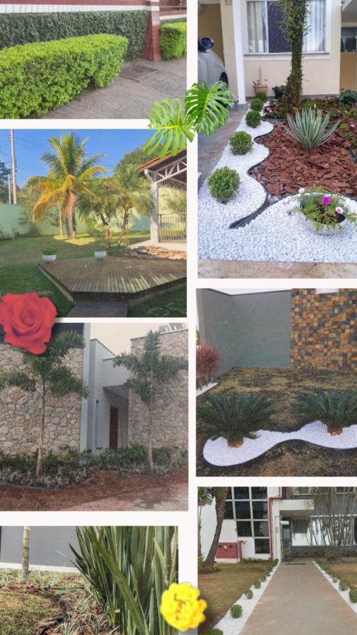 Melhor Jardim - Galeria