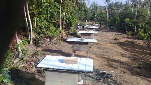 Nelson Saraiva - Galeria