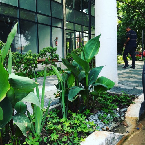 OS3 Arquitetura Urbanismo Permacultura e Paisagismo