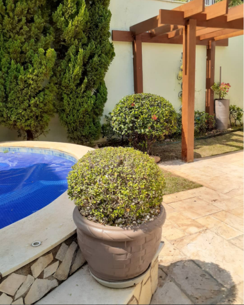 PH Paisagismo - Galeria