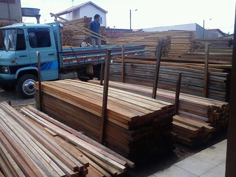 Pollo Madeiras - Galeria