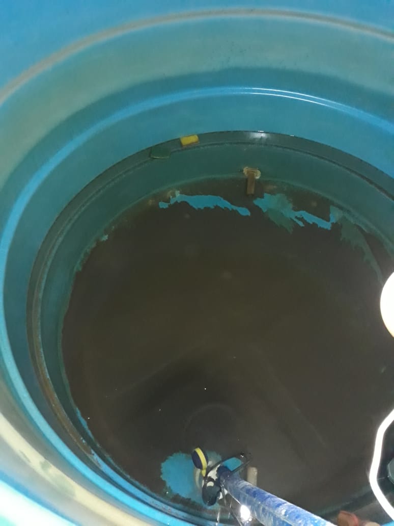 SGS Serviços - Galeria