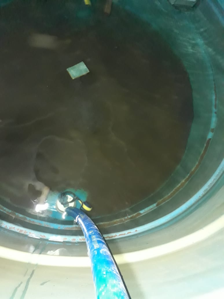 SGS Serviços - Galeria