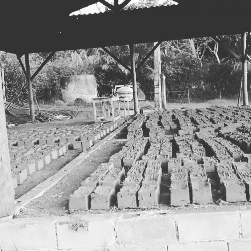 Torrão Cultura Sintrópica - Galeria