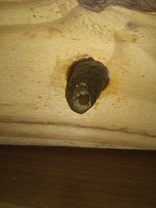 Sítio São Pedro - Galeria