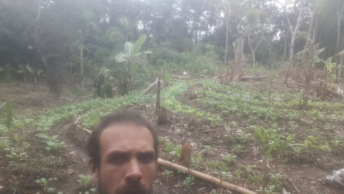 Zé Aurélio Hebling  - Galeria